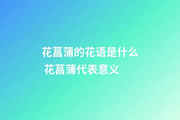 花菖蒲的花语是什么 花菖蒲代表意义